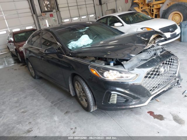 hyundai sonata 2019 5npe34af9kh822048