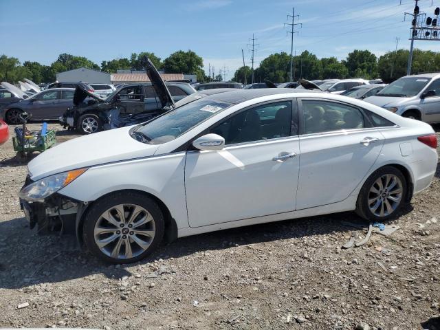 hyundai sonata 2013 5npec4ab0dh509700