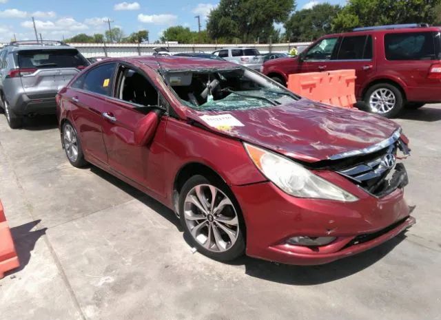 hyundai sonata 2013 5npec4ab3dh613940