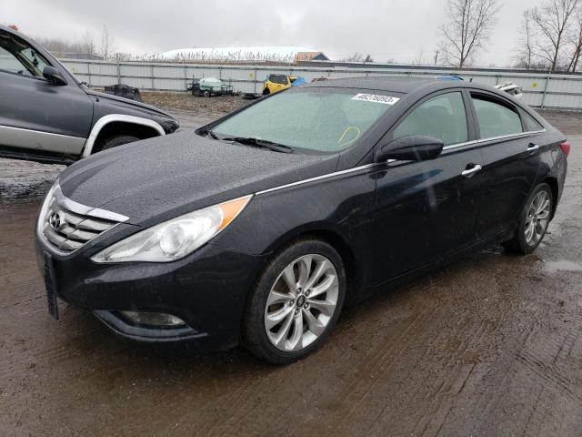 hyundai  2013 5npec4ab8dh528608