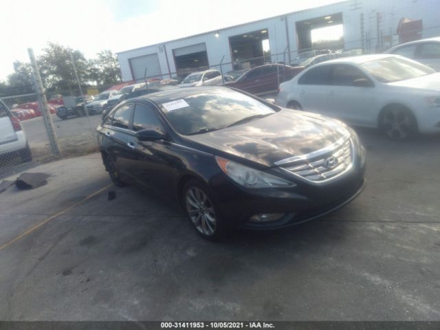 hyundai sonata 2013 5npec4ac0dh730948