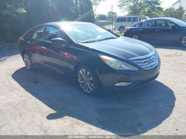 hyundai sonata 2011 5npec4ac2bh062423