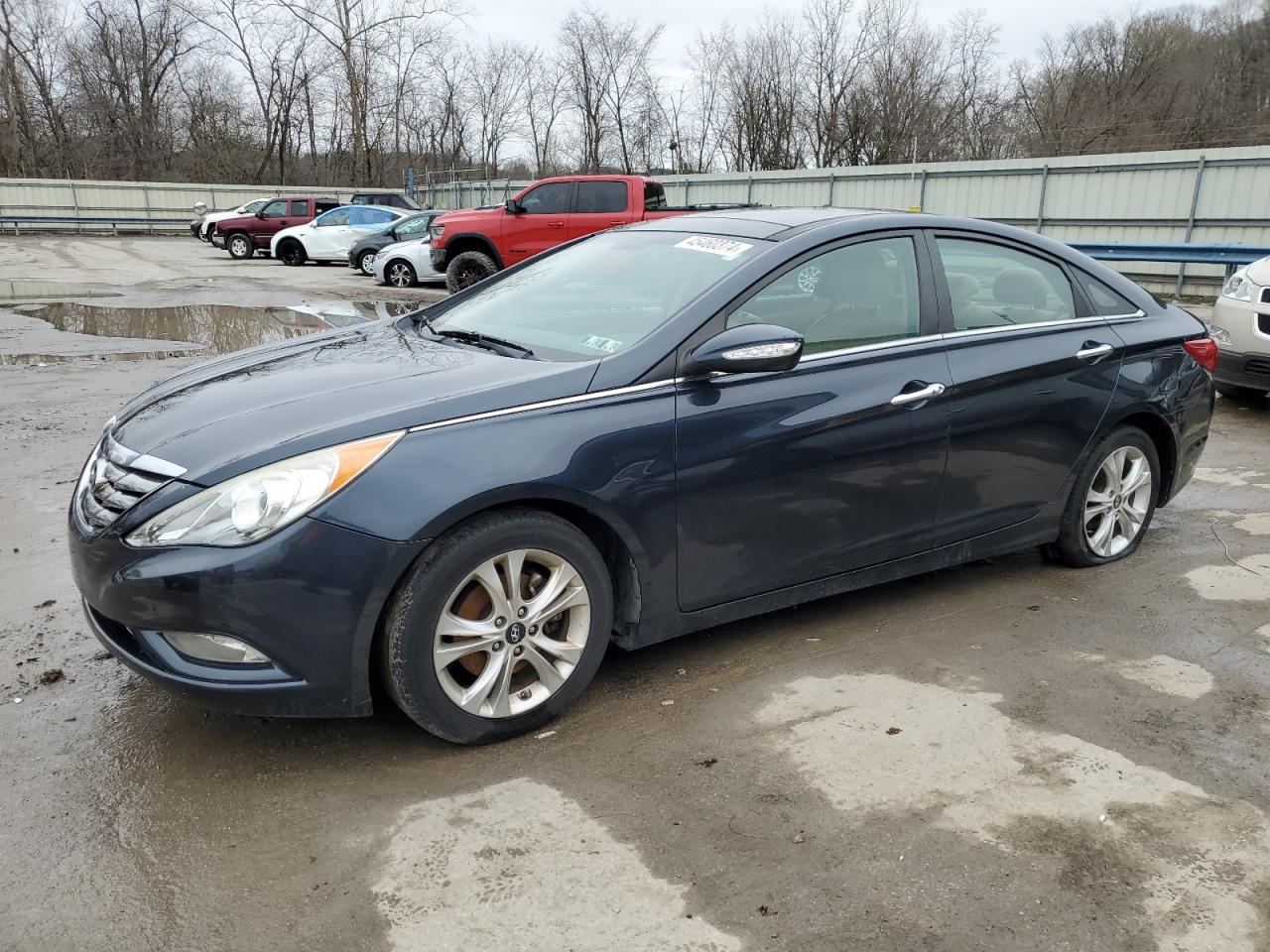 hyundai sonata 2013 5npec4ac4dh627631