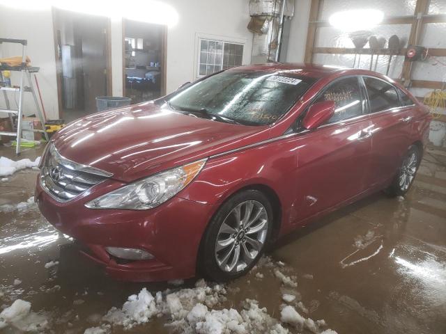 hyundai sonata 2011 5npec4ac6bh181320