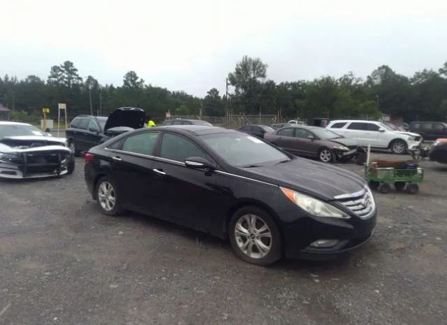 hyundai sonata 2013 5npec4ac9dh688392