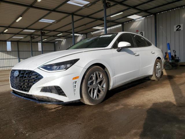 hyundai sonata sel 2020 5npef4jaxlh000453