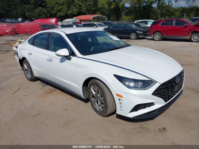 hyundai sonata 2020 5npef4jaxlh019231