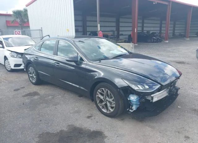 hyundai sonata 2021 5npel4ja0mh087127