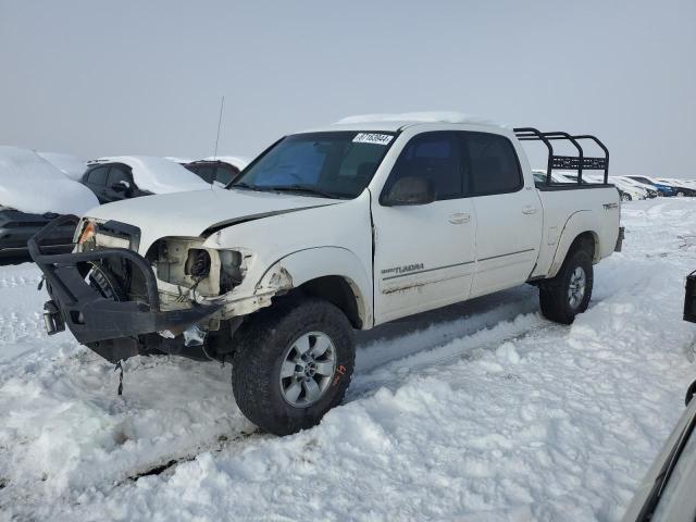 toyota tundra dou 2006 5tbdt44196s512129