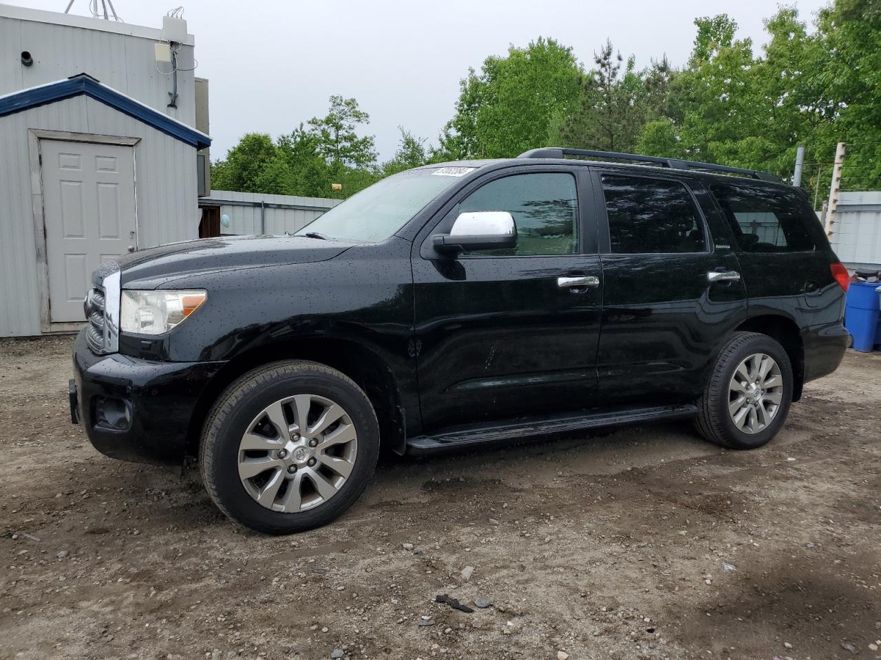 toyota sequoia 2011 5tdjy5g10bs055461