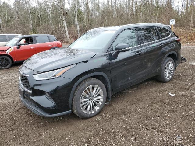 toyota highlander 2024 5tdkdrbh5rs551667