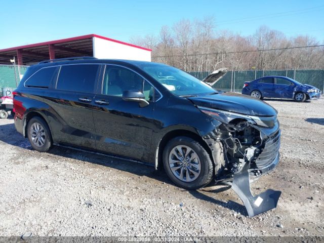 toyota sienna 2023 5tdyrkec6ps160205