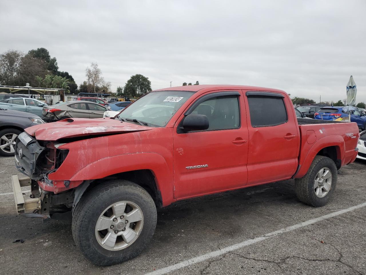 toyota tacoma 2006 5teju62nx6z195621