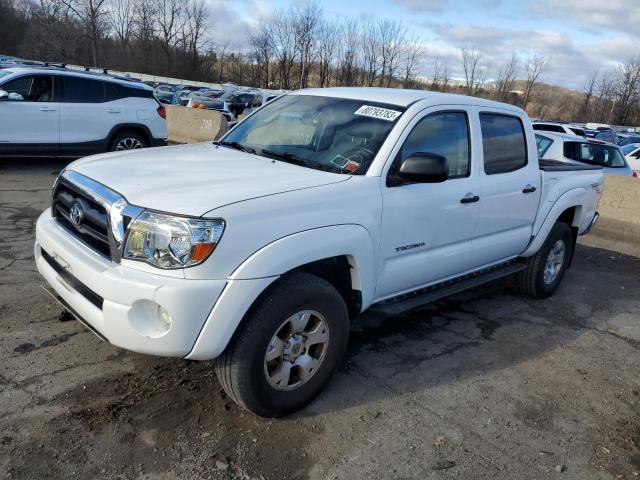 toyota tacoma 2006 5telu42n06z177156