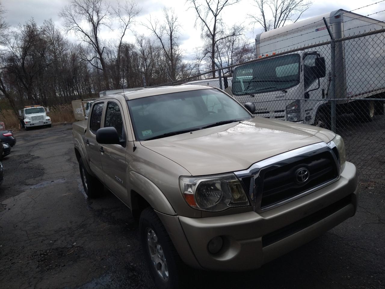 toyota tacoma 2006 5telu42n46z165379