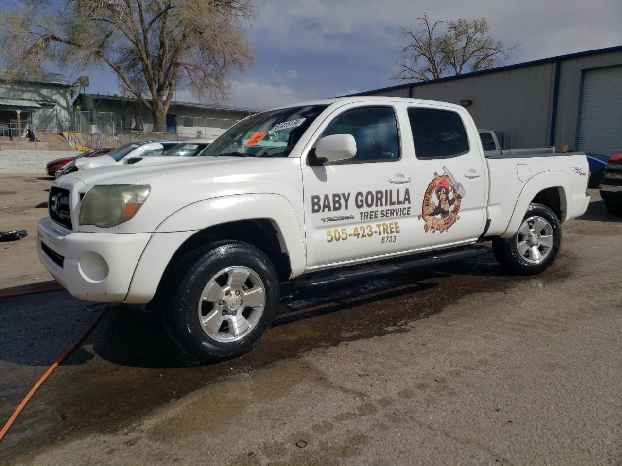 toyota tacoma 2009 5temu52n69z598359