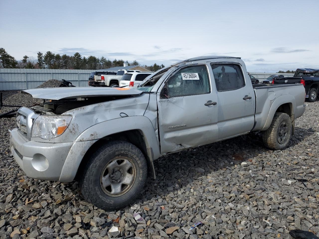 toyota tacoma 2006 5temu52n86z280402