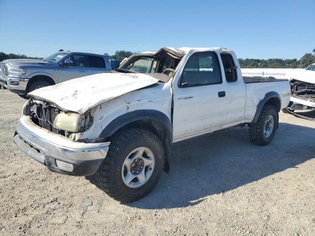 toyota tacoma xtr 2004 5tesn92n44z331922