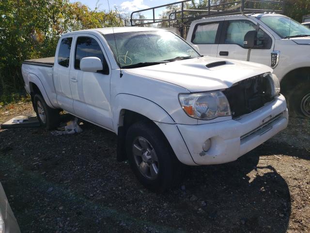 toyota tacoma pre 2010 5tetu4gn4az709252