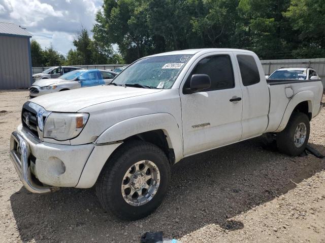 toyota tacoma 2005 5tetu62n75z118468