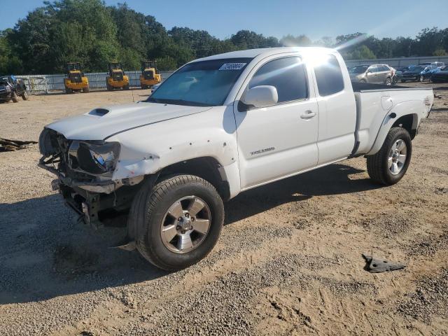 toyota tacoma pre 2006 5tetu62nx6z146668