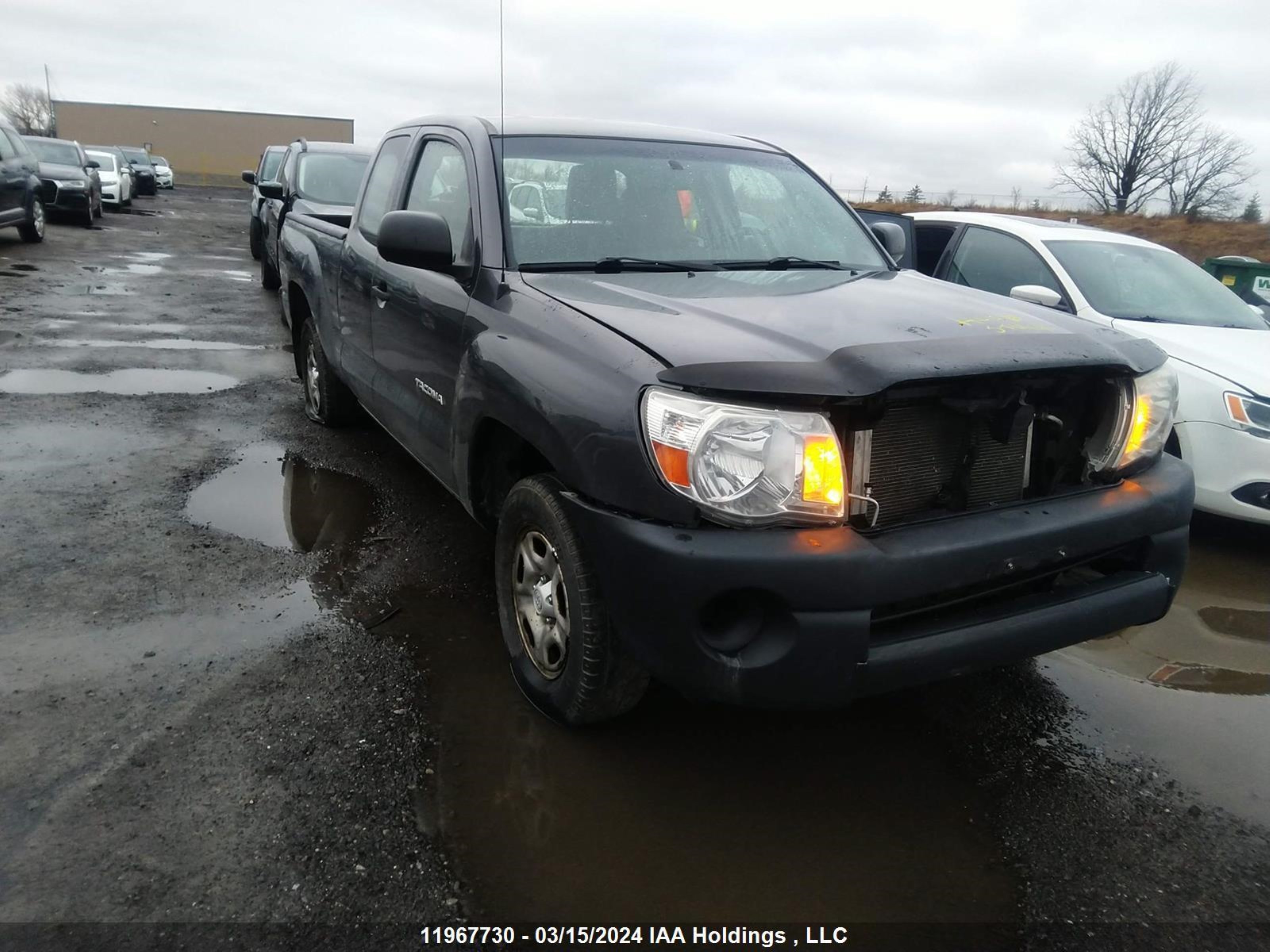 toyota tacoma 2010 5tetx4cn0az709665