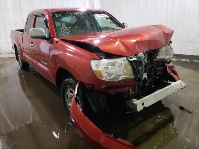 toyota tacoma acc 2010 5tetx4cn0az733397