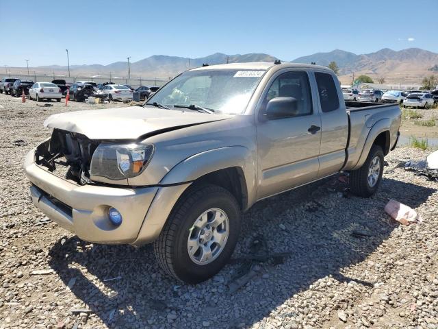 toyota tacoma pu 2007 5tetx62n07z357239