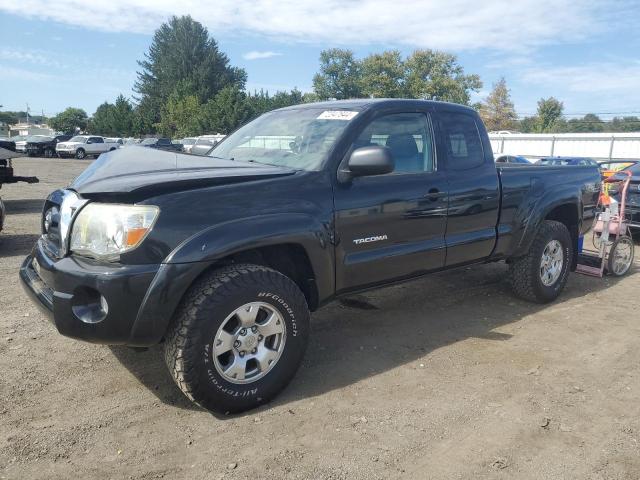 toyota tacoma acc 2006 5teuu42n16z206684