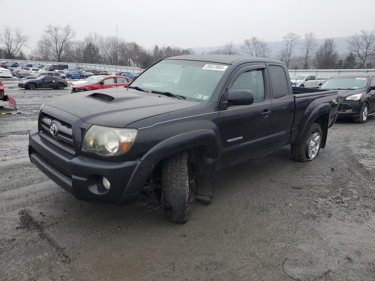 toyota tacoma 2009 5teuu42n39z667020