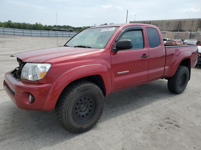 toyota tacoma acc 2005 5teuu42n45z051398