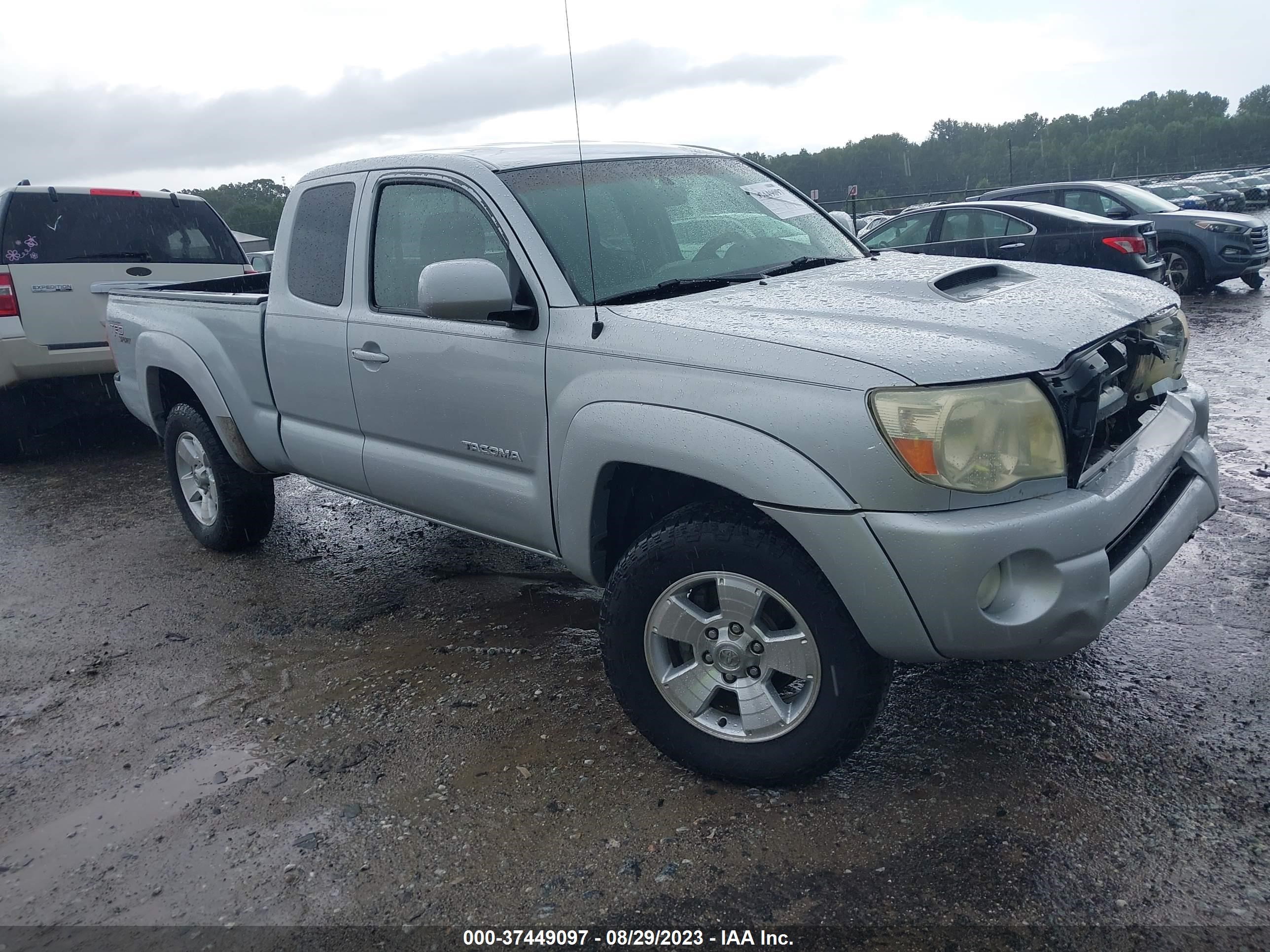 toyota tacoma 2005 5teuu42n45z056861