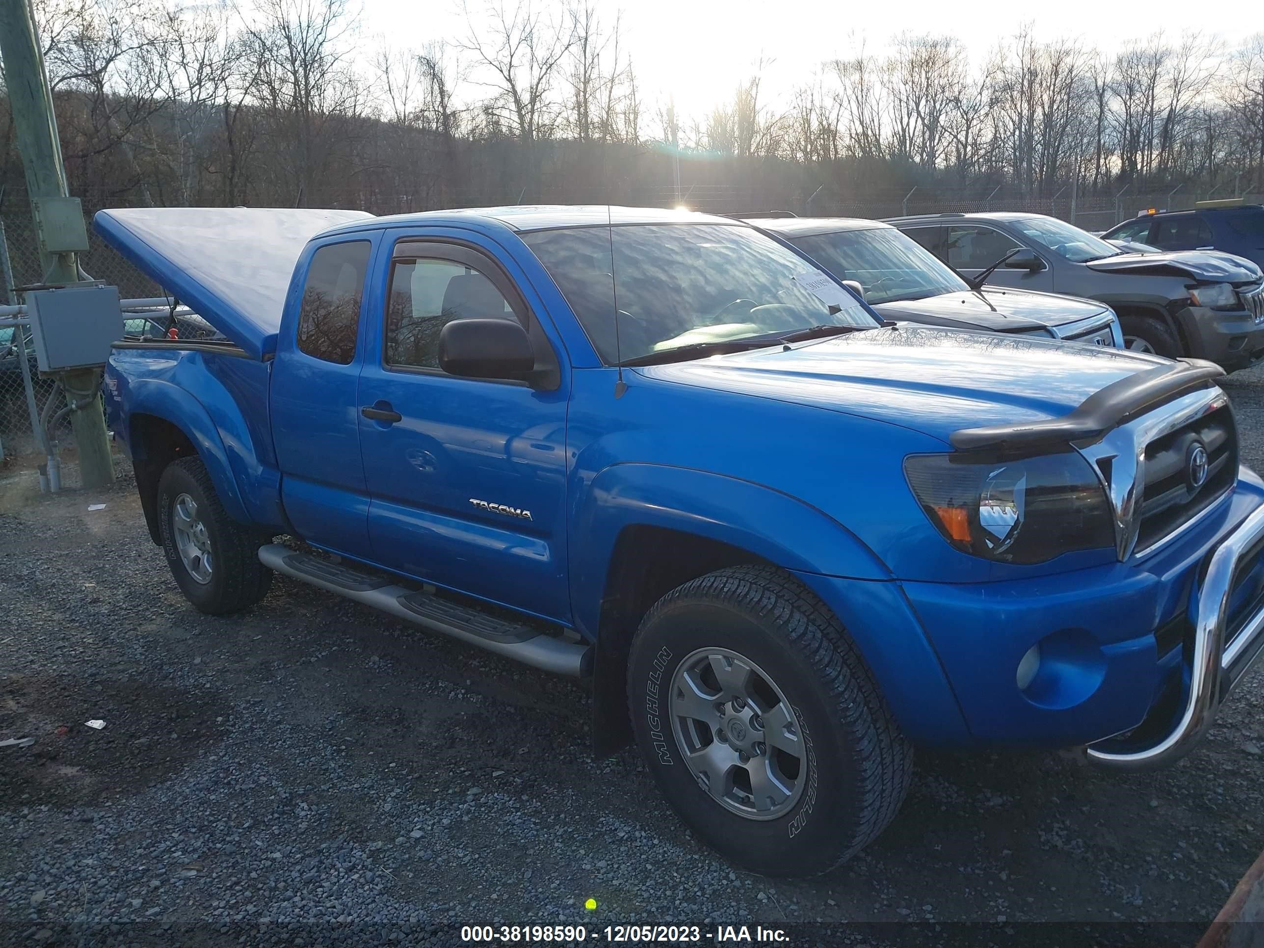 toyota tacoma 2006 5teuu42n56z278729