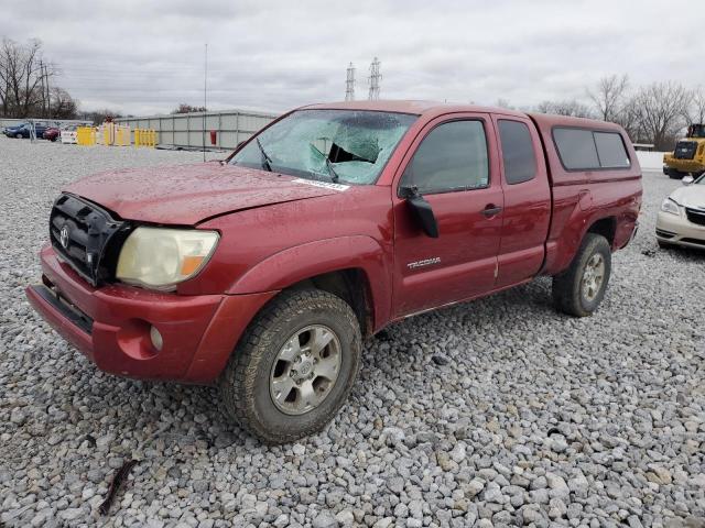 toyota tacoma 2006 5teuu42n56z319523