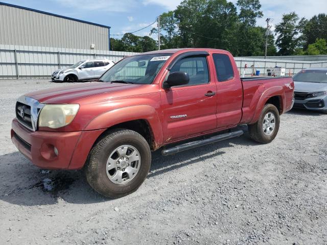 toyota tacoma 2005 5teuu42n65z010271