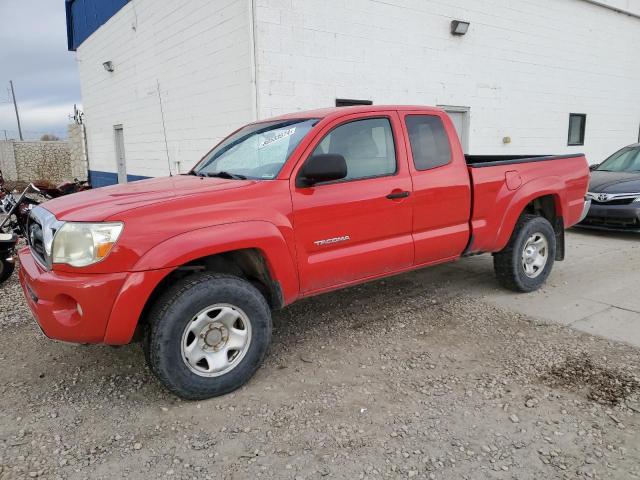 toyota tacoma acc 2007 5teuu42n67z440871