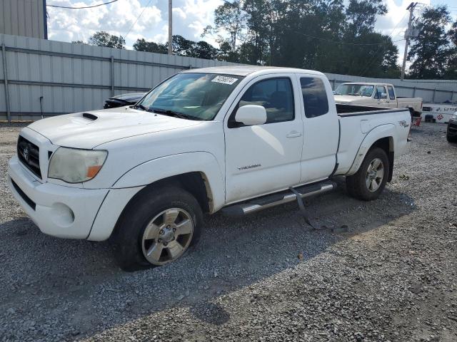 toyota tacoma acc 2008 5teuu42n68z554161