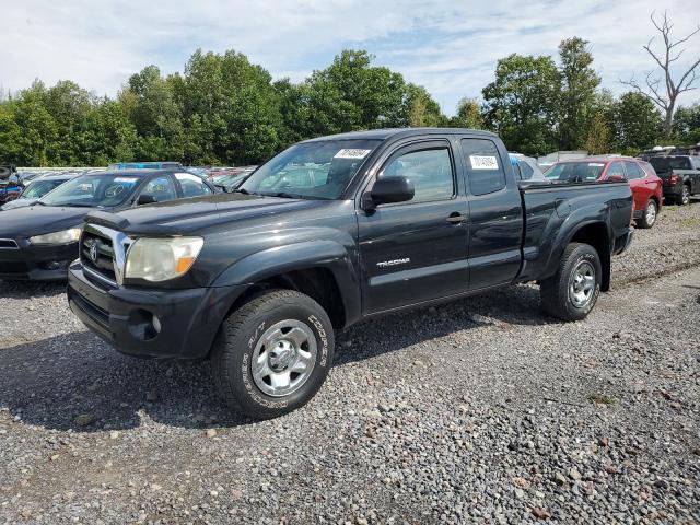 toyota tacoma acc 2007 5teuu42n87z415874