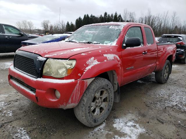 toyota tacoma acc 2008 5teuu42n88z476496