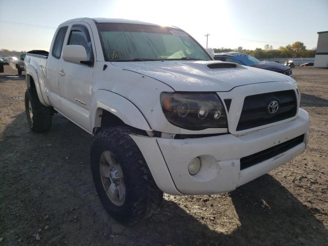 toyota tacoma acc 2006 5teuu42n96z200602