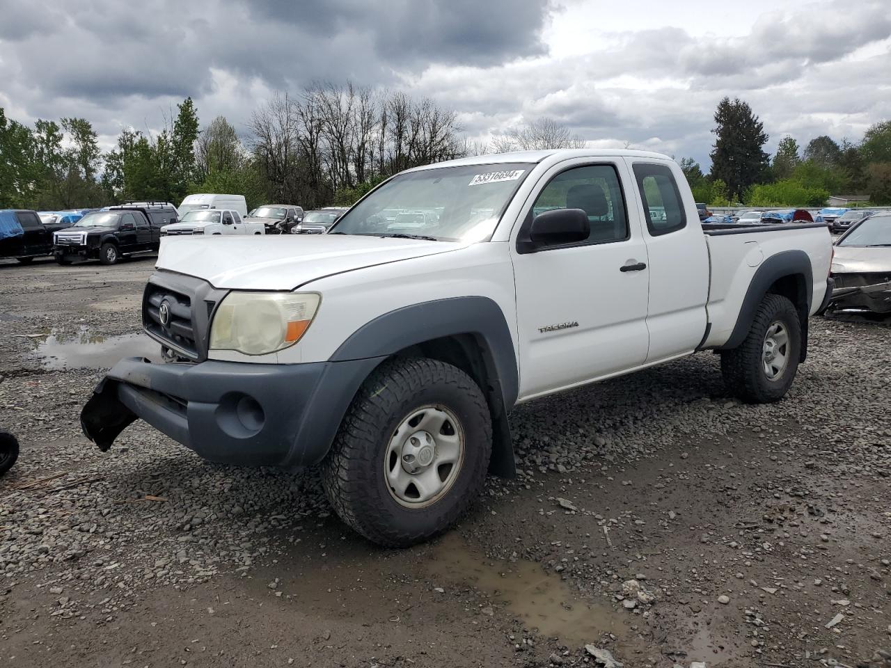 toyota tacoma 2008 5teuu42n98z545809