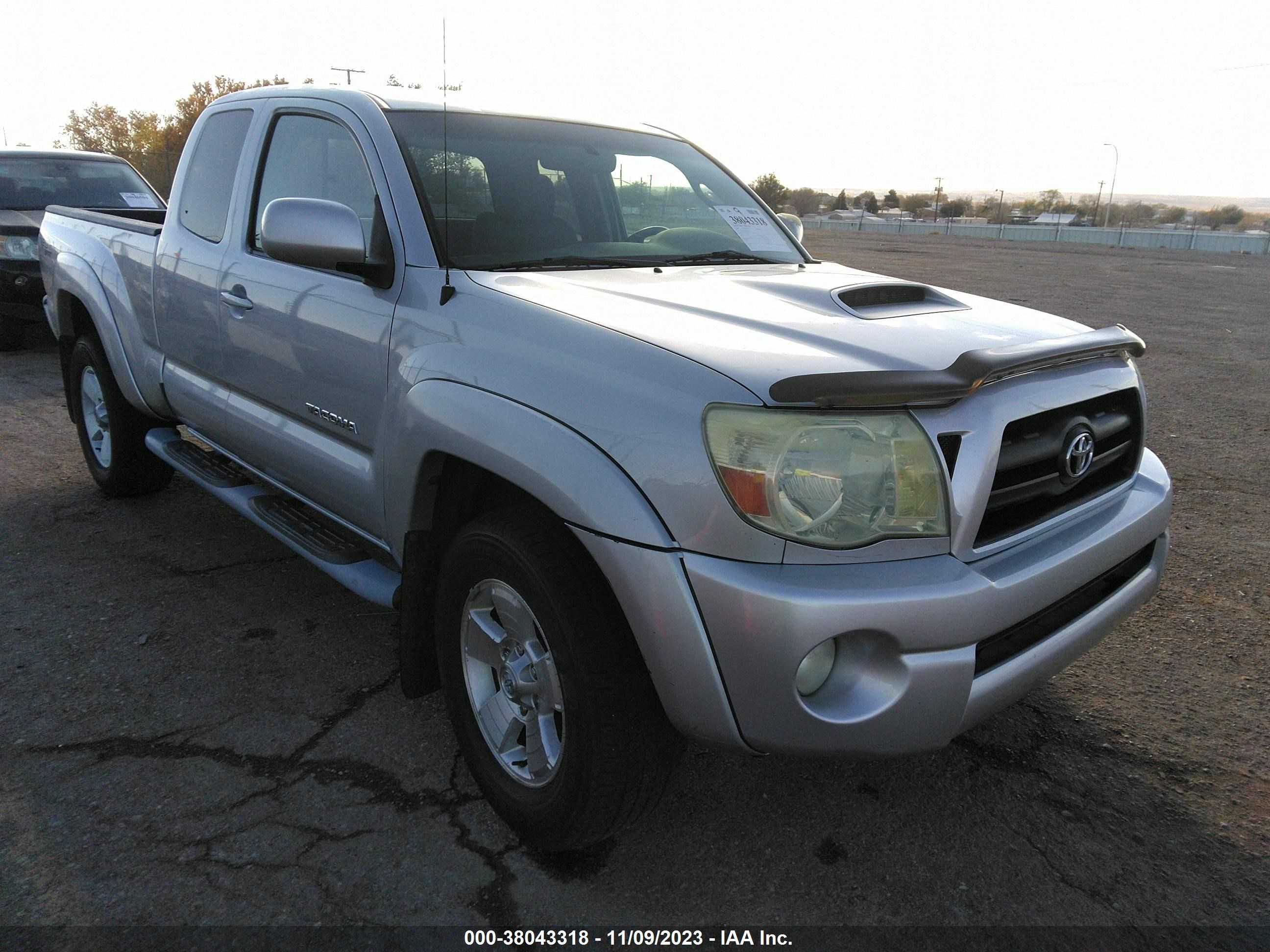 toyota tacoma 2006 5teuu42nx6z291041