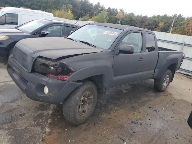 toyota tacoma acc 2007 5teuu42nx7z322855