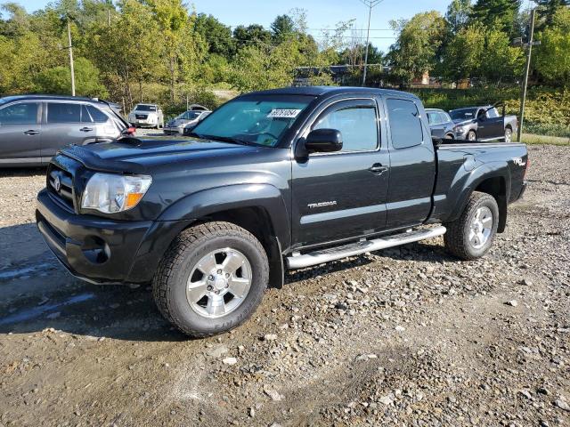 toyota tacoma acc 2007 5teuu42nx7z325187