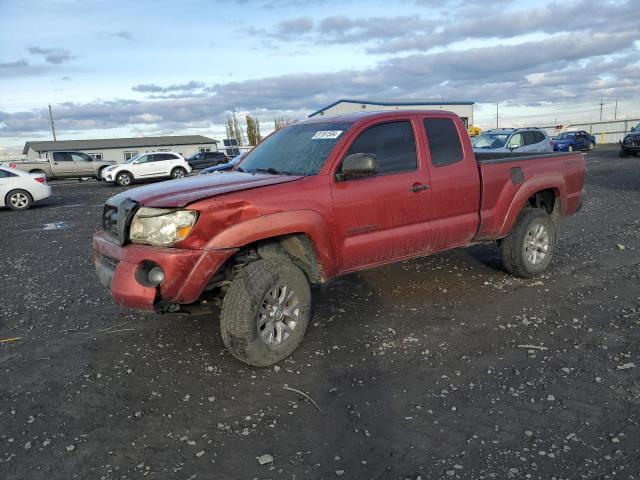 toyota tacoma acc 2008 5teuu42nx8z566720