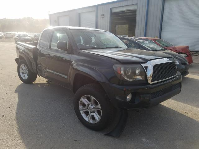 toyota tacoma acc 2010 5teuu4en0az707523