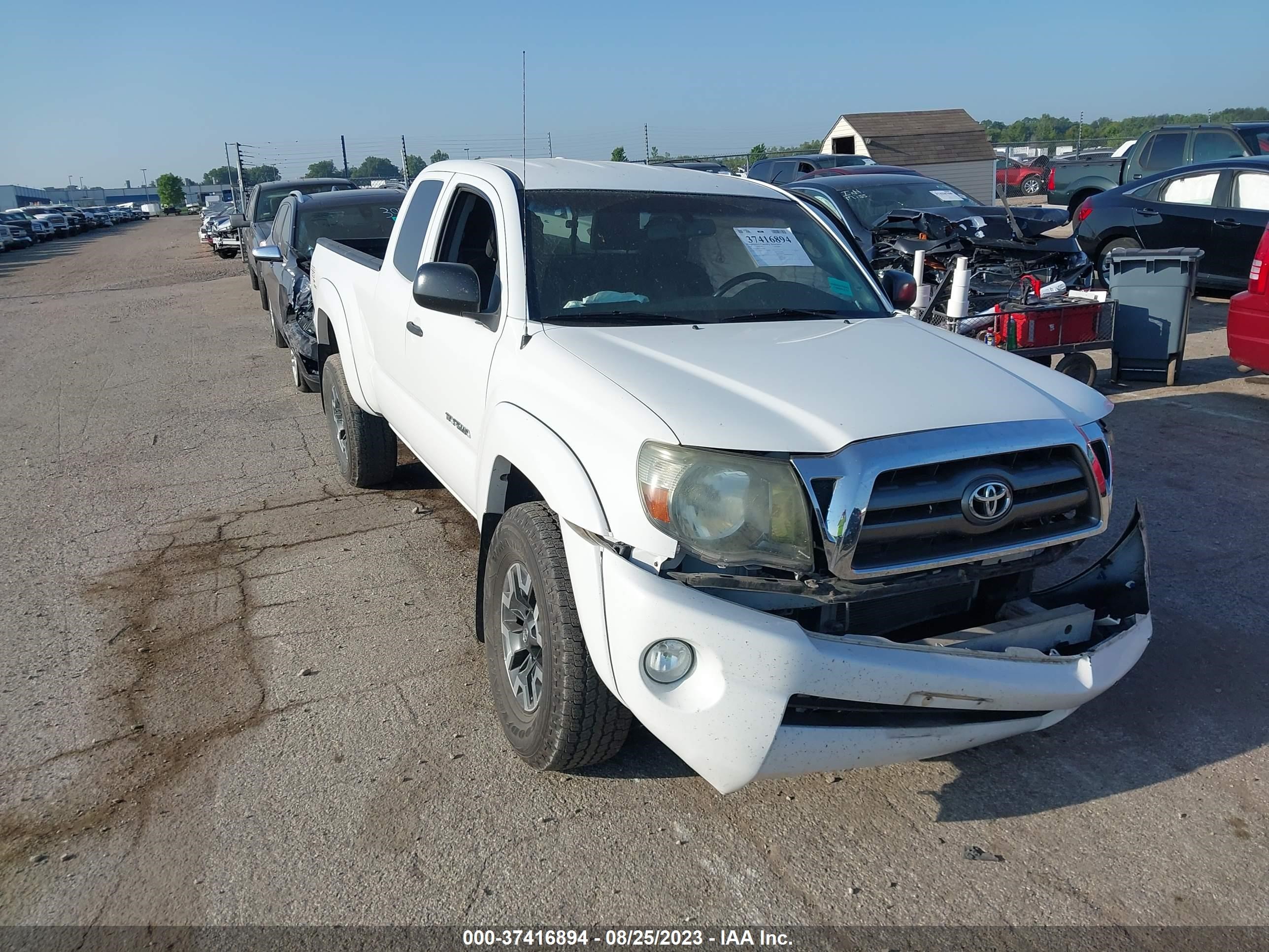 toyota tacoma 2010 5teuu4en1az747545