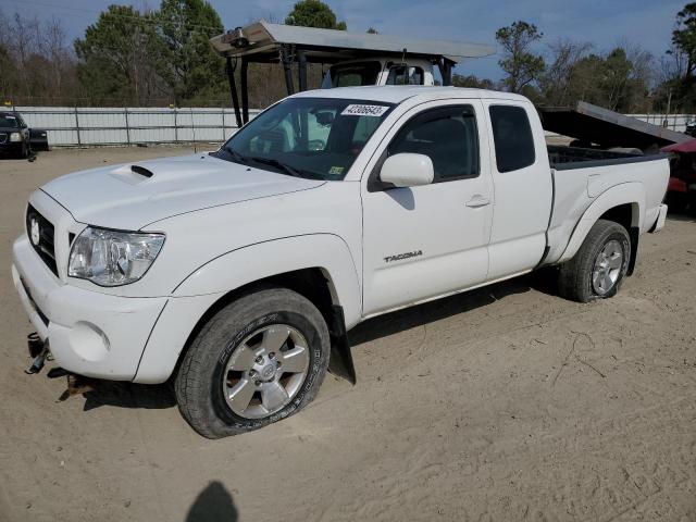 toyota tacoma acc 2010 5teuu4en2az736098