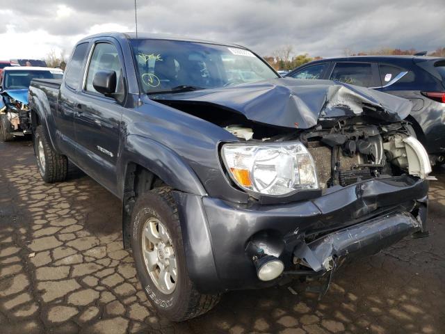 toyota tacoma acc 2010 5teuu4en4az681539