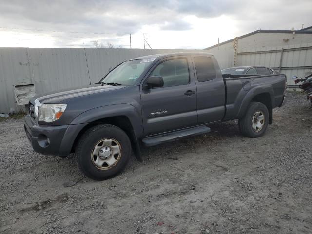 toyota tacoma acc 2010 5teuu4en8az683388